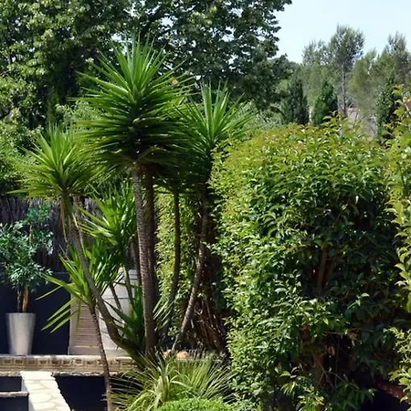 Les Jardins De Galicia 3* Sète