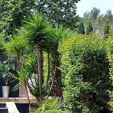 Les Jardins De Galicia 3* 塞特港